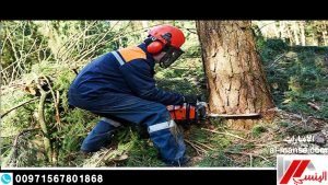 شركة قطع الاشجار بالامارات